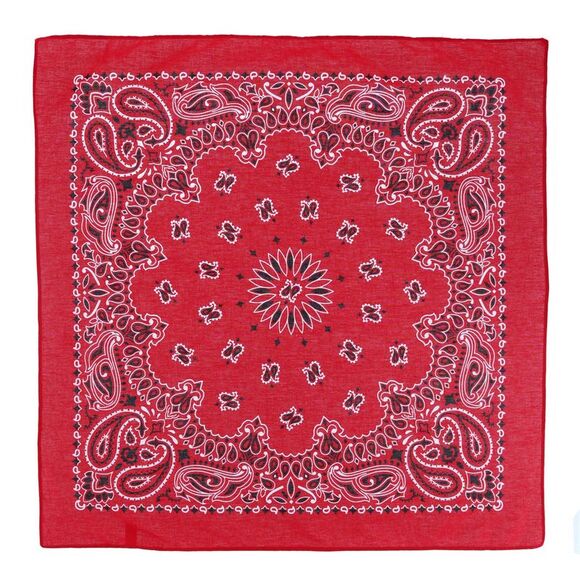 CTM Modern Paisley 20x20 Cotton Bandana - Picture 1 of 2
